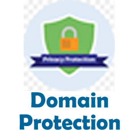 Domain Name Protection